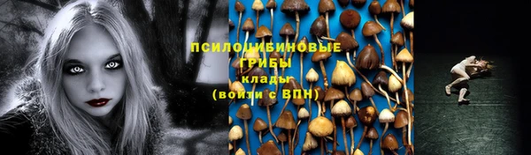 прущие крисы Костерёво