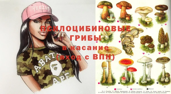 кристаллы Корсаков
